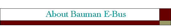 About Bauman E-Bus