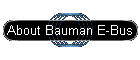 About Bauman E-Bus