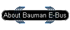 About Bauman E-Bus