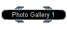 Photo Gallery 1